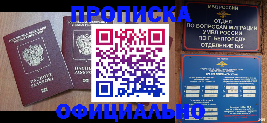 найти адрес прописки в Холмске